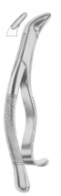  Fig. 288 lower canines and premolars 